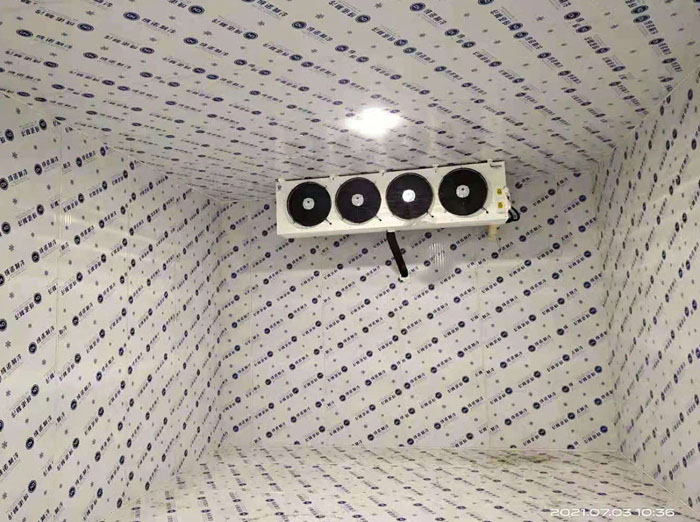 ����L�C�Ⱦ�